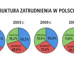 Jakie są formy zatrudnienia w Polsce i ich kluczowe różnice