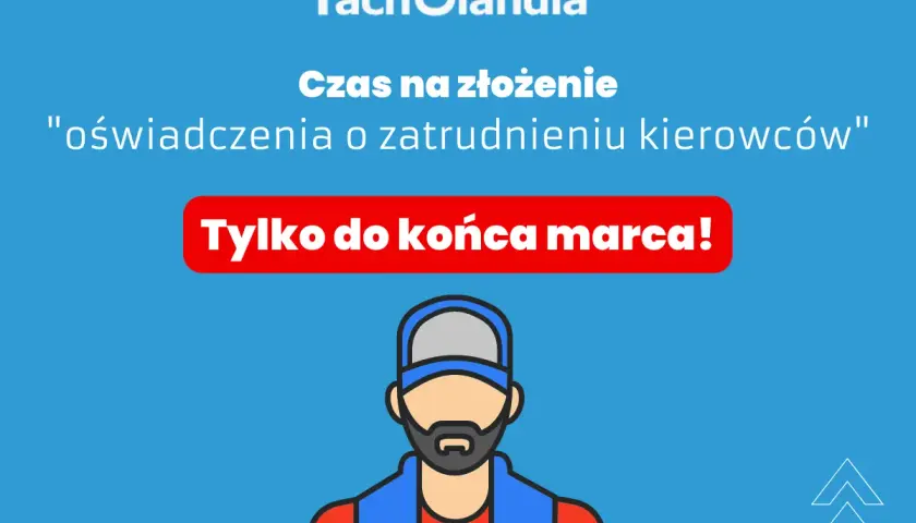 Jak wypełnić oświadczenie o zatrudnieniu kierowcy bez błędów?